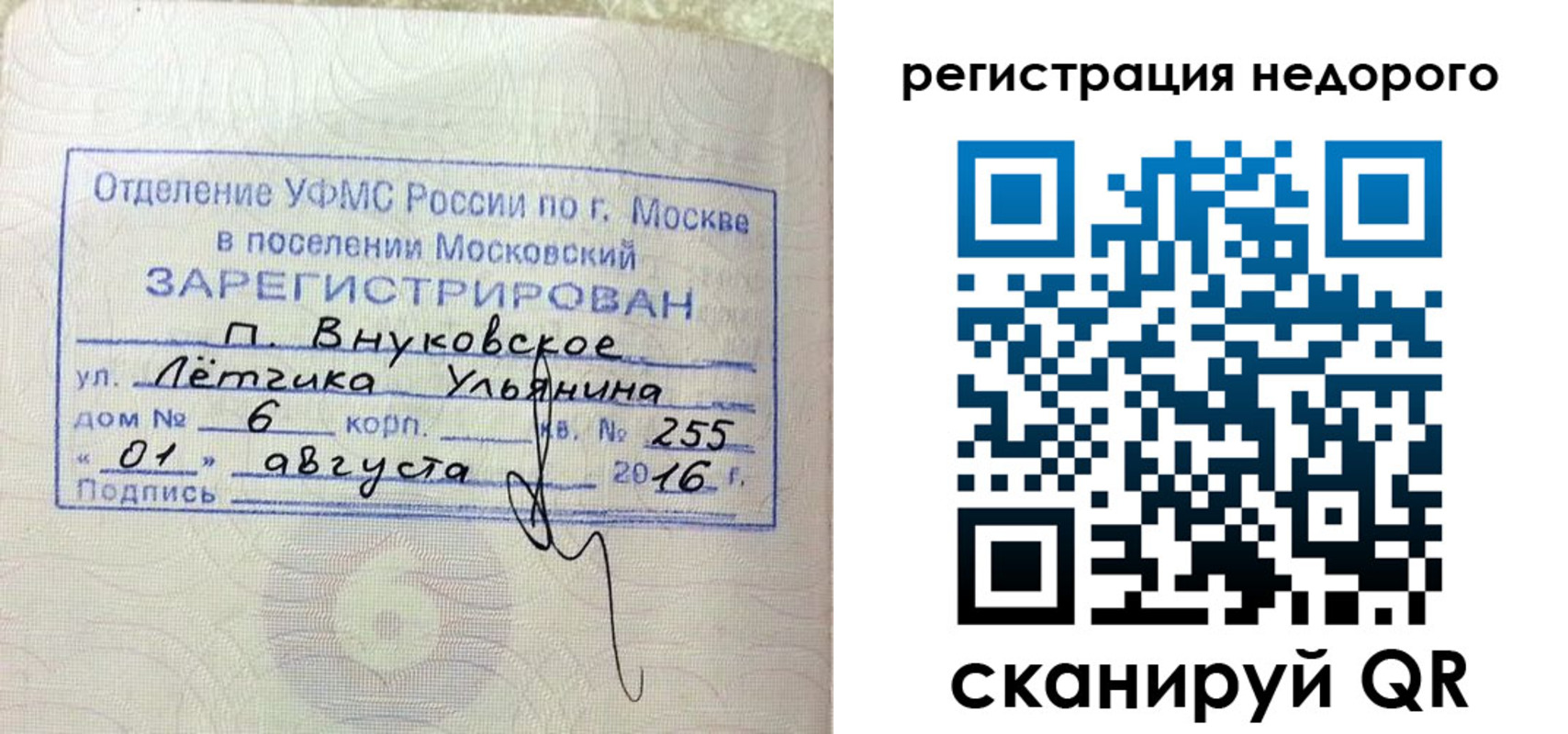 прописка в квартире в Фрязино